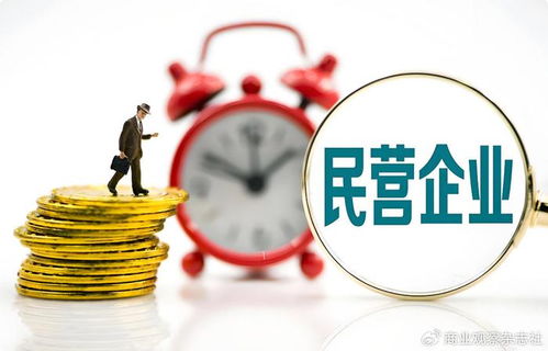 當(dāng)民營(yíng)企業(yè)遇見世界500強(qiáng) 以企業(yè)自有資金共繪“投資中國(guó)，共贏未來”新藍(lán)圖